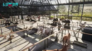 揭秘传奇私服版本的秘密：从老铁时代到新潮改版的全解析